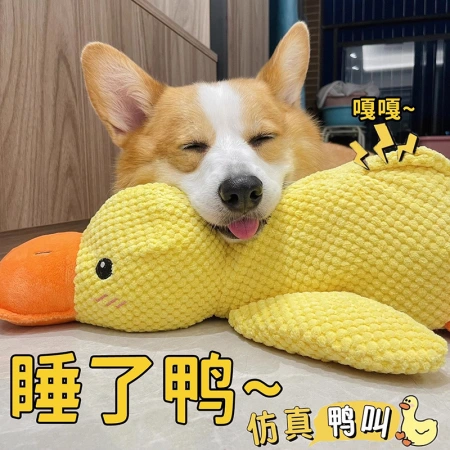 Amazon's best-selling pet toy, a realistic yellow quack duck plush toy that makes sounds and barks, is a durable and teething dog toy Amazon's best-selling pet toy, a realistic yellow quack duck plush toy that makes sounds and barks, is a durable and teething dog toy